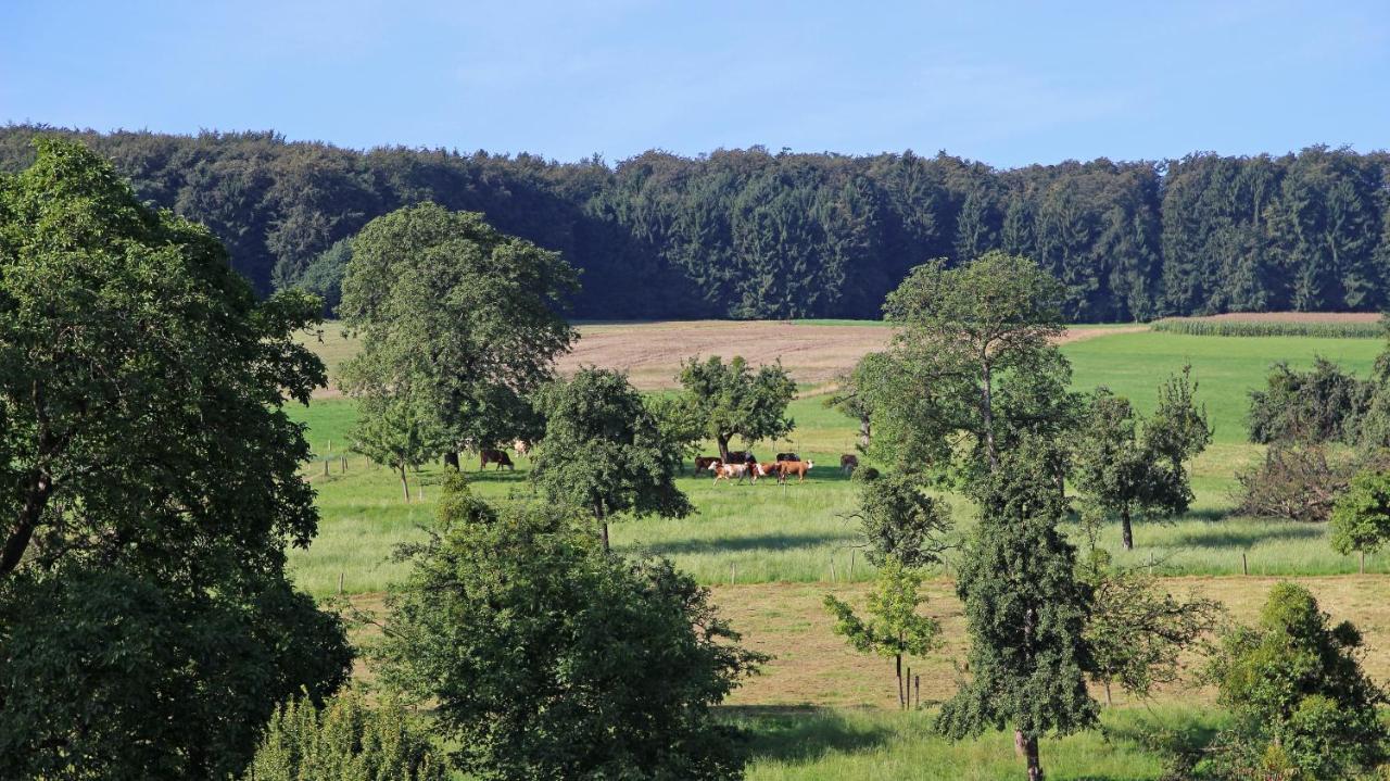 Ferienhof Knoll Lindenfels Esterno foto
